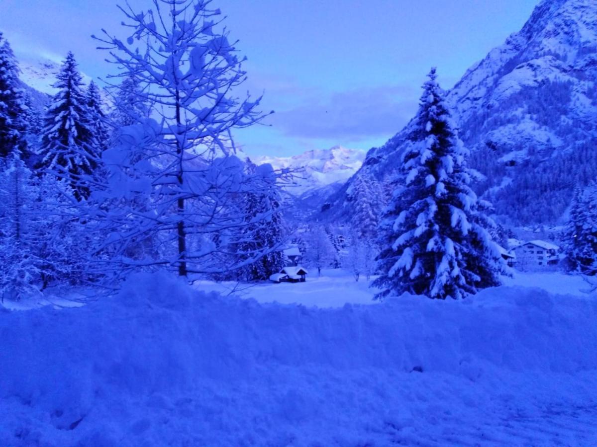 Appartement Quadrifoglio Gressoney-Saint-Jean Esterno foto